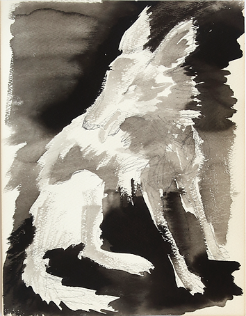 Wolf (Sketch)